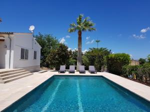 a swimming pool with two chairs and a palm tree at Mallorca Villa Bon Aire in Llubí