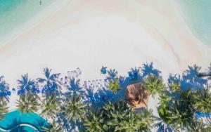 an overhead view of a beach with palm trees at Holiday Inn Resort Kandooma Maldives - Kids Stay & Eat Free and Free Roundtrip Speed Boat for a minimum 4 nights stay in Guraidhoo