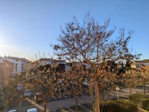Un albero senza foglie in una città di Appartement cosy avec parking proche port et plage a Cap d'Agde