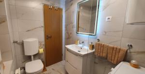 a bathroom with a sink and a toilet and a mirror at Počitniška hiša Taler in Bohinj +23 photos