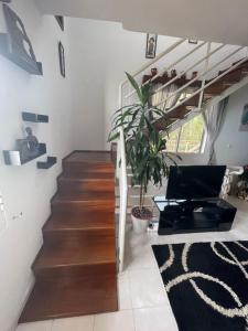 a staircase in a living room with a plant at Sunset House in Arco da Calheta