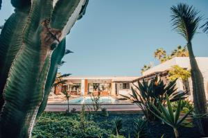 een resort met een palmboom en een zwembad bij La Concha ADULTS ONLY CORRALEJO in Corralejo