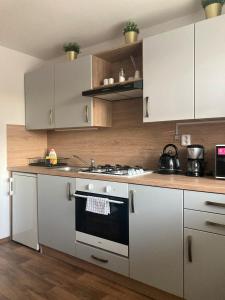 Kuchyň nebo kuchyňský kout v ubytování Apartmán Staňkov