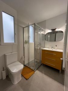 ein Bad mit einer Dusche, einem WC und einem Waschbecken in der Unterkunft MGG - Apartamento Muelle in Albacete