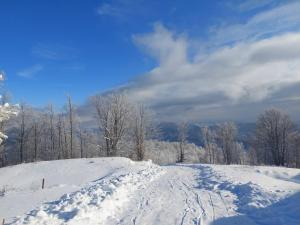 Vikendica RANKOVIĆI durante l'inverno