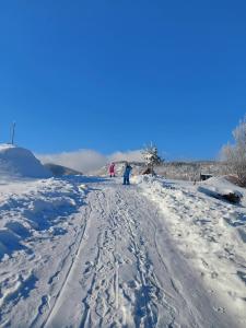 Vikendica RANKOVIĆI durante l'inverno