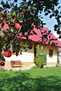 a house with a pink roof with a bench in the yard at Chalúpka u Fulov in Bziny