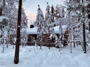 ein von Schnee bedecktes Blockhaus im Wald in der Unterkunft Lapland Lodge Pyhä Ski in, sauna, free WiFi, national park - Lapland Villas in Pyhätunturi