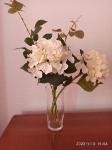 a vase filled with white flowers on a table at Crisol Plaza in Ampuero