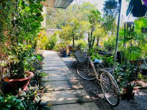a bike parked on a path in a garden at Nam Cat Tien Homestay in Cat Tien