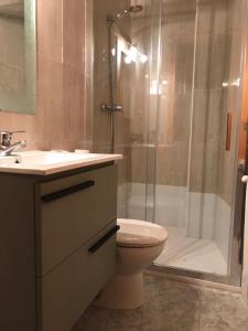 a bathroom with a shower and a toilet and a sink at Alojamientos Rurales Cuatro Estaciones in Arroyo Frio