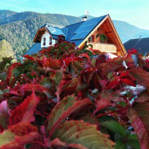 Nespecifikovaný výhled na hory nebo výhled na hory při pohledu z bed and breakfast