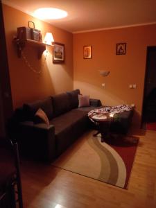 Posezení v ubytování Apartman Ristivojevic Zlatibor