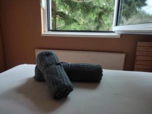 Postel nebo postele na pokoji v ubytování Apartman Ristivojevic Zlatibor