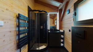 a bathroom with a shower with a sink and a mirror at Woodland Village Anzère in Ayent
