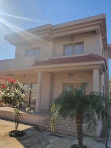 a house with a palm tree in front of it at House on the hill in Xylophaghou