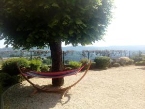 a hammock sitting in front of a tree at Gîtes Le Triskèle in Rochepaule
