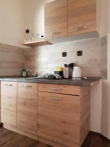uma cozinha com armários de madeira e um lavatório em Apartment House Staňkov em Staňkov