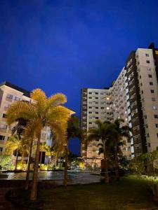 伊洛伊洛AVIDA ATRIA T2- A, near SM city and smallville的一群棕榈树在公园里度过夜晚