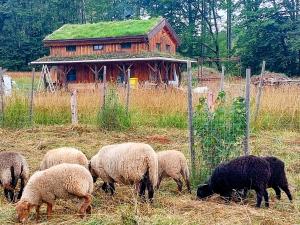 Fotografija v galeriji nastanitve CHALET BORŮVKA - biofarma na samotě v lesích v mestu Pavlov