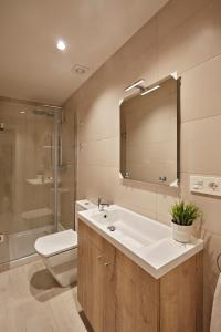 a bathroom with a sink and a toilet and a mirror at Apartamentos Abastos in Logroño