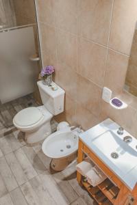 a bathroom with a toilet and a sink at Encanto Patagónico in El Bolsón +52 photos