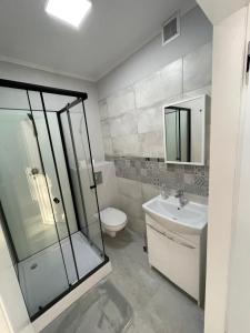 a bathroom with a shower and a toilet and a sink at Gold Hill Karpacz -Miłków in Miłków +53 photos