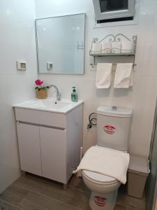 a bathroom with a toilet and a sink and a mirror at חאן בכפר במשק בלה מאיה - הצימר in Nevatim