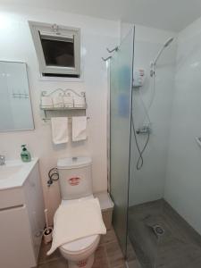 a bathroom with a toilet and a shower at חאן בכפר במשק בלה מאיה - הצימר in Nevatim