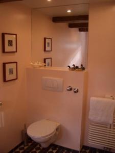 a bathroom with a white toilet in a room at Am Alten Fronhof in Bergisch Gladbach