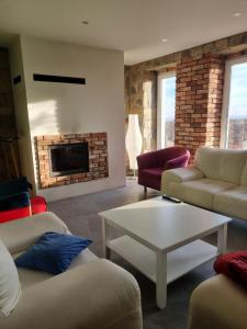 a living room with couches and a fireplace at MŁYŃSKA 8 Opole-Górki in Opole