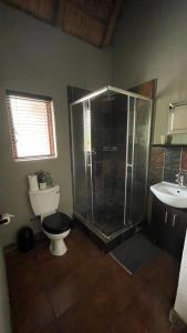 a bathroom with a shower and a toilet and a sink at Ujabule Lodge in Hoedspruit