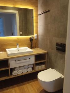 a bathroom with a sink and a toilet and a mirror at Apartamenty Woda i Las in Turawa