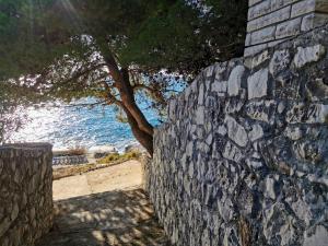 Fotografie z fotogalerie ubytování Villa Lille v Trogiru