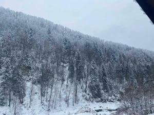 a snow covered hillside with trees on it at Писанка Плюс in Yaremche