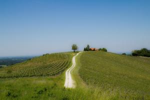 Galeriebild der Unterkunft Holiday House Podhamer Boris with private Wellness in Ljutomer + 39 Fotos