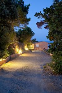 une allée vide avec des arbres et des lumières la nuit dans l'établissement Le Thyreneen, à Sari-Solenzara