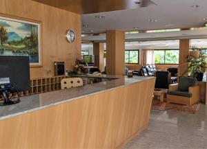 a lobby with a bar and a waiting room at Hotel Coray in Encamp