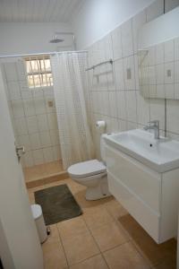 a bathroom with a sink and a toilet and a mirror at FonteinZen - Home with big garden at Fontein in Willemstad