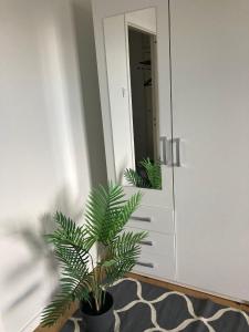 een plant in een pot voor een spiegel bij Viihtyisä asunto keskustassa palvelujen lähellä in Heinola