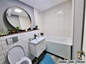 a bathroom with a toilet and a sink and a mirror at ~Fantastic Studio Petroșani~ in Petroşani