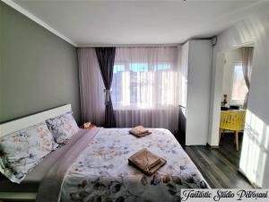 a bedroom with a large bed and a window at ~Fantastic Studio Petroșani~ in Petroşani