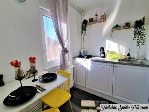 - une cuisine avec une table, un évier et un comptoir dans l'établissement ~Fantastic Studio Petroșani~, à Petroşani
