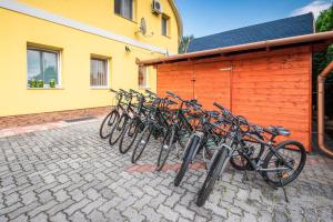 Jízda na kole v ubytování Boglárka Panzió - Étterem nebo okolí