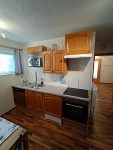 Kuchnia lub aneks kuchenny w obiekcie Ferienwohnung Stockenhuber