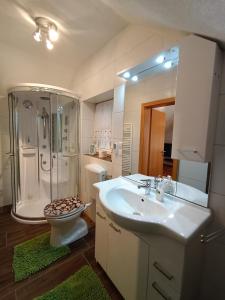 a bathroom with a sink and a shower and a toilet at Ferienwohnung Stockenhuber in Sankt Martin am Grimming