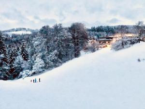 eine Gruppe von Menschen, die einen schneebedeckten Hang hinuntergehen in der Unterkunft App 613 Panoramic Hohegeiß Terrassenhaus in Hohegeiß