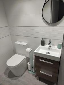 El Rincón de Moreno في Munébrega: حمام به مرحاض أبيض ومغسلة