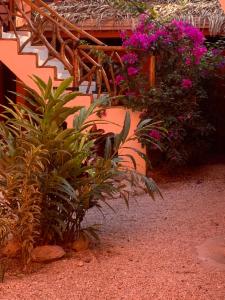 Сад в Beach Front Bahia