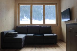 Televízia a/alebo spoločenská miestnosť v ubytovaní Bergreich Appartement 3